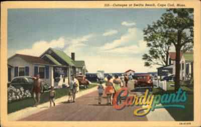 Cape Cod, Mass. - Vibrant Summer Scene at Switts Beach Postcard