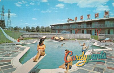 Schenectady, NY Stardust Motor Inn Restaurant Cocktail Lounge View Postcard